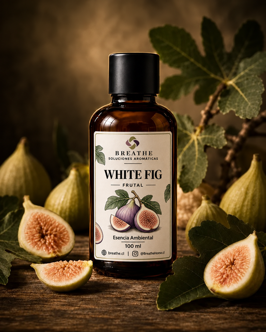 Esencia Ambiental - White Fig